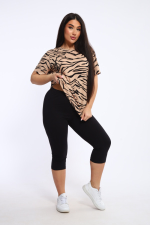 13a6e388-a955-418c-8a13-bb9841efe754